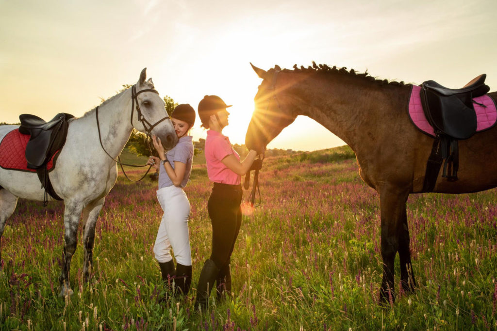 Standardowe polisy ubezpieczeniowe dla koni zazwyczaj pokrywają koszty rachunków weterynaryjnych i koszty operacji w celu naprawy wszelkich urazów