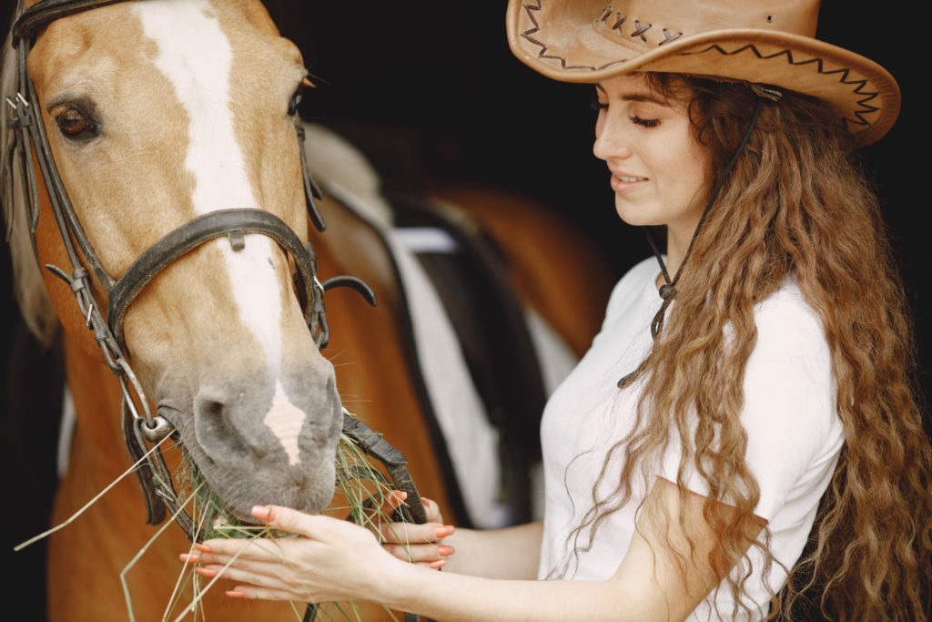 Każdy właściciel konia powinien pamiętać o tym, że jest on żywym stworzeniem, które potrzebuje stałej opieki