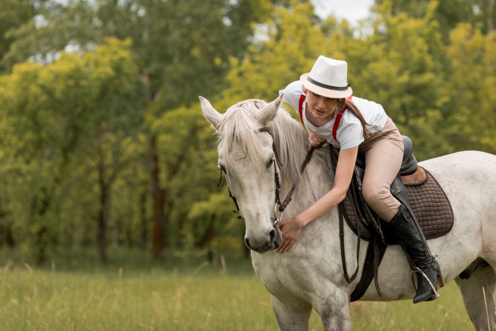 Ubezpieczenie koni to nieodłączny element kompleksowej ochrony, którą powinni zapewnić sobie hodowcy.
